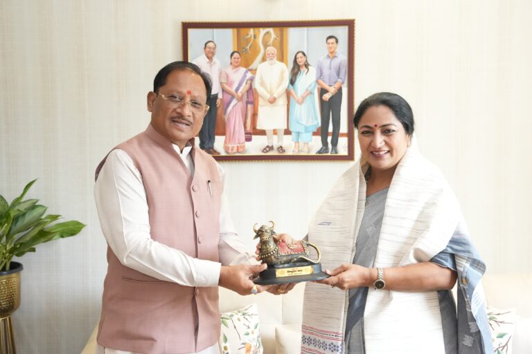 मुख्यमंत्री साय के नेतृत्व में छोटे शहरों और कस्बों को भी मिलेगा आधुनिक विकास का नया मॉडल